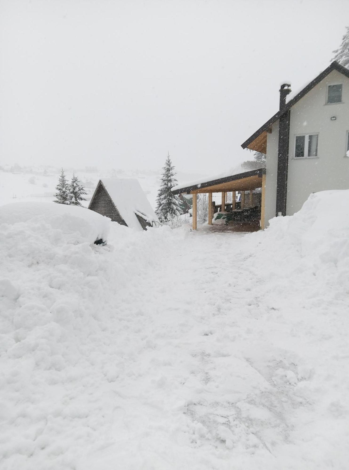 Durmitor Daire Žabljak Dış mekan fotoğraf
