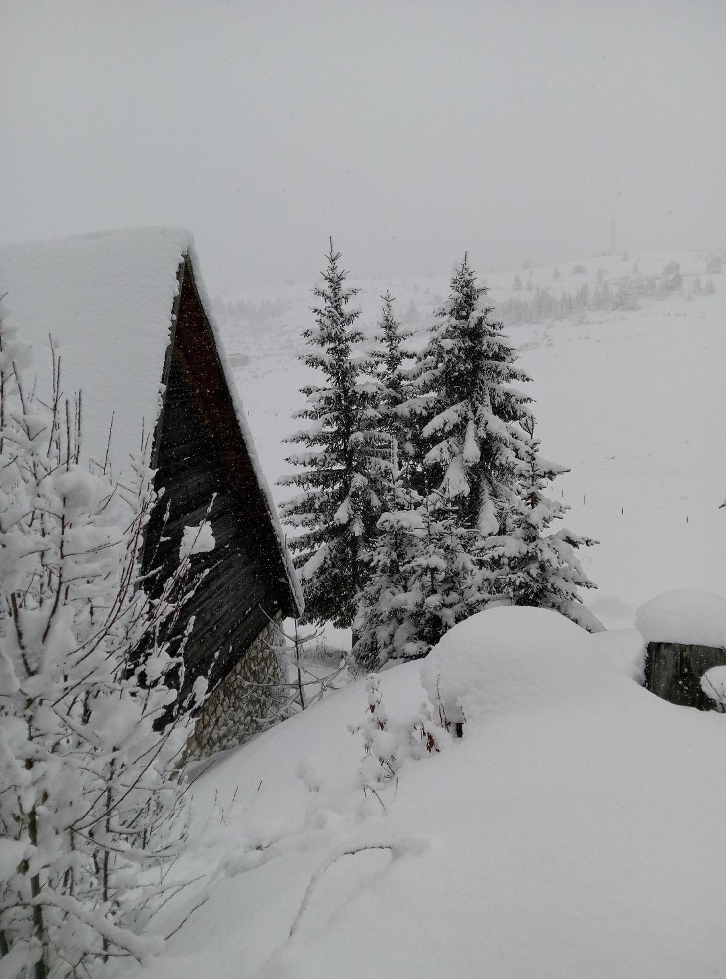 Durmitor Daire Žabljak Dış mekan fotoğraf