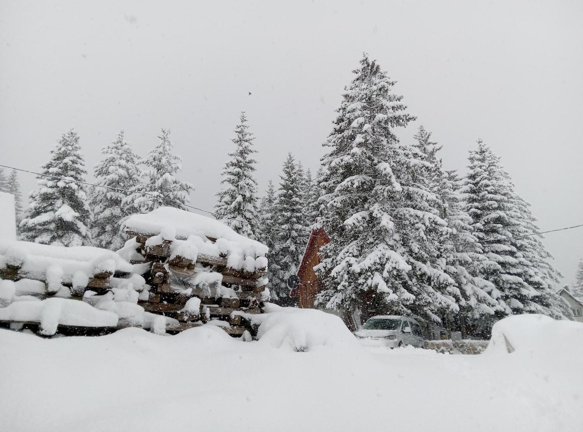Durmitor Daire Žabljak Dış mekan fotoğraf